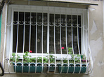 окно с цветами в Лазаревском зимой