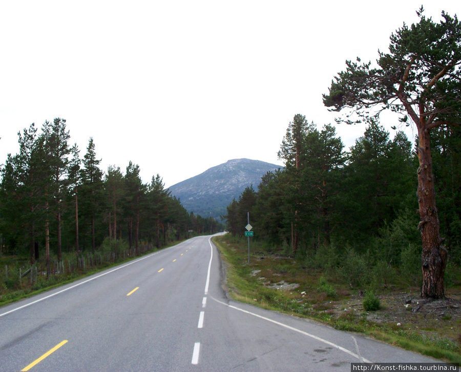 Дорога на Тронхейм летом. Норвегия