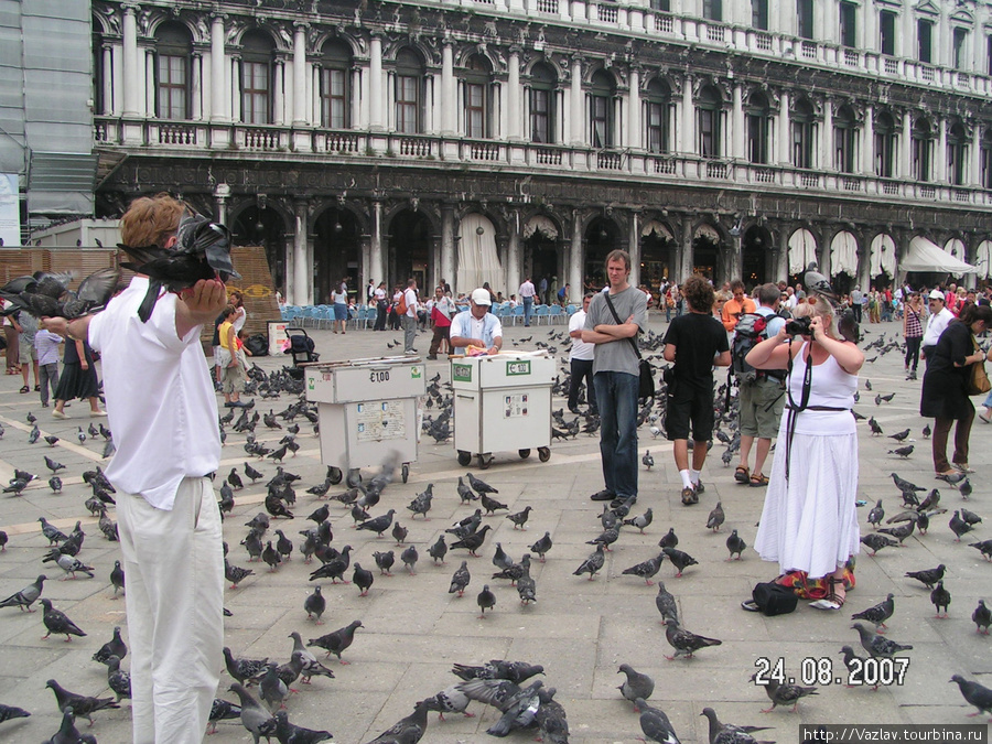 Кадр с вездесущими голубями Венеция, Италия
