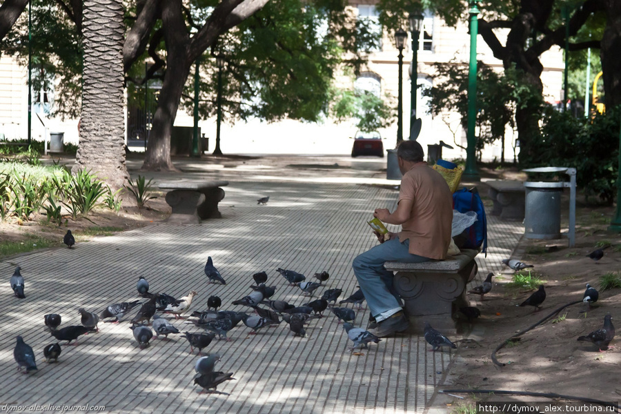 Просто человек в парке, судя по всему, крайне небогатый Буэнос-Айрес, Аргентина