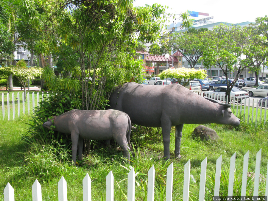 Статуи Кота-Кинабалу, Малайзия