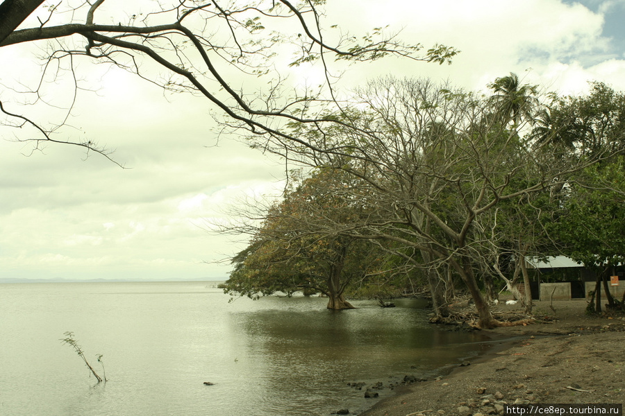 А другие наоборот уходят под воду Остров Ометепе, Никарагуа