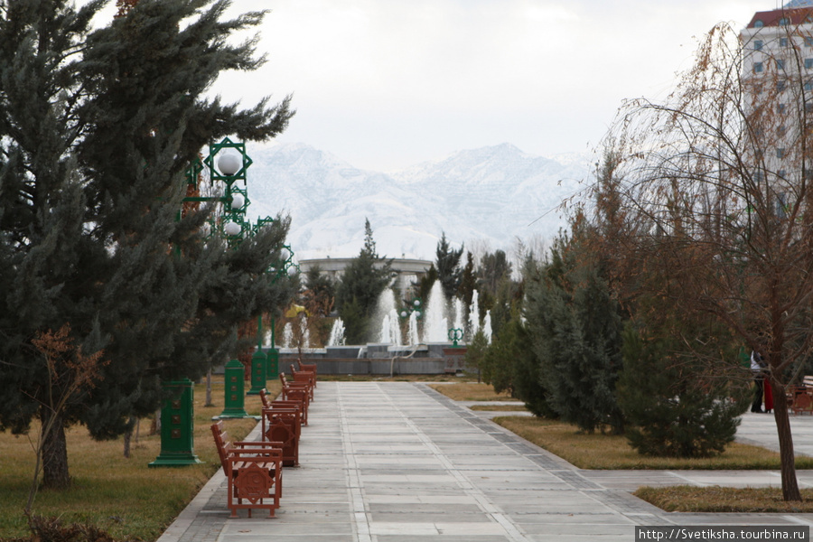 Стальные алхетинские скакуны Ашхабад, Туркмения