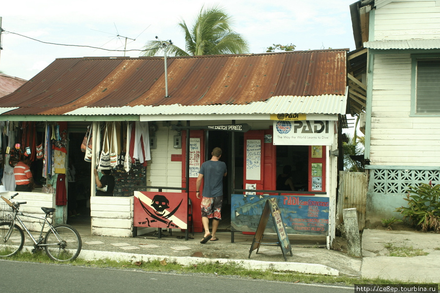 Дайвинг-центр The Dutch Pirate Бокас-дель-Торо, Панама