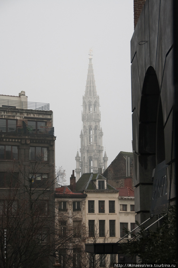 Брюссель.Новый  2011 год Брюссель, Бельгия