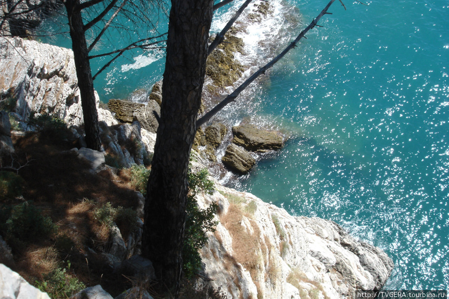 Скалы .Берег Адриатического моря около г. Петровац Черногория