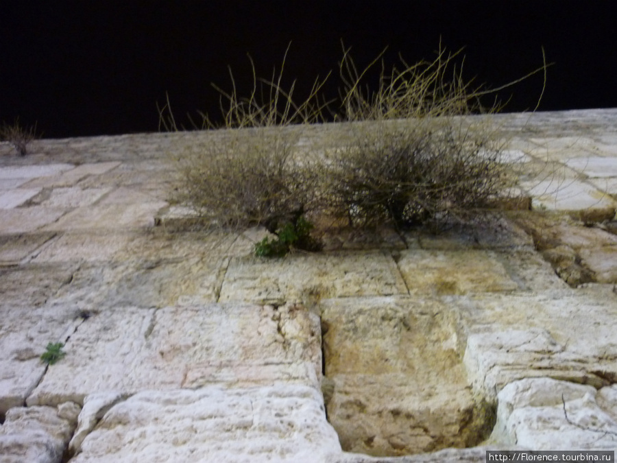 Я стою у Стены. Фотоаппарат вскинут вверх Иерусалим, Израиль