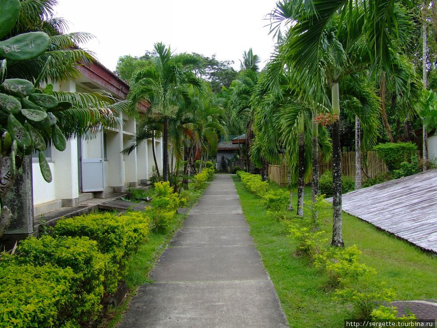 Аллея в парке Пуэрто-Принсеса, остров Палаван, Филиппины