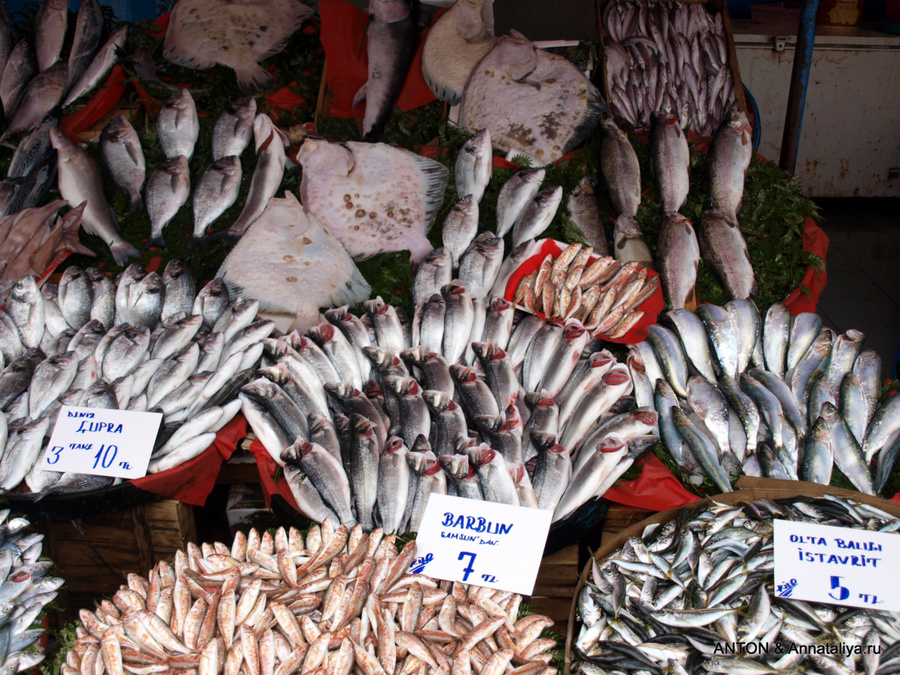 На рыбном рынке Стамбул, Турция