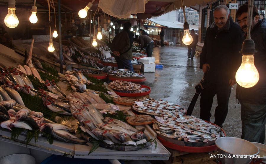 Стамбульские радости - часть 1. Море, рыба и рыбаки Стамбул, Турция