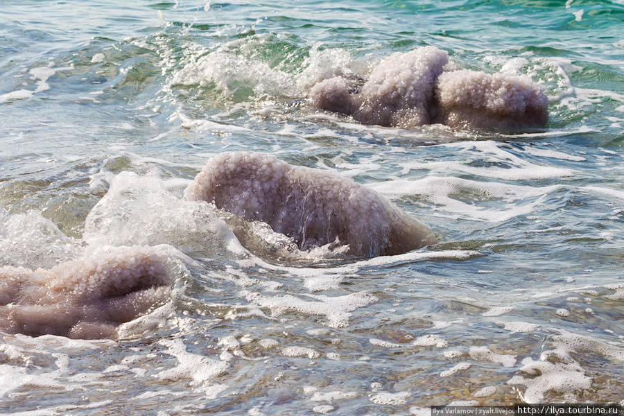 По официальным данным, в водах Мертвого моря растворены не менее 50 миллиардов тонн природных минералов. Провинция Мадаба, Иордания