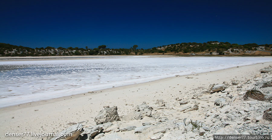 Мелкая волна взбивает пену, которая разлетается метров на 50 от берегов озер. Остров Роттнест, Австралия