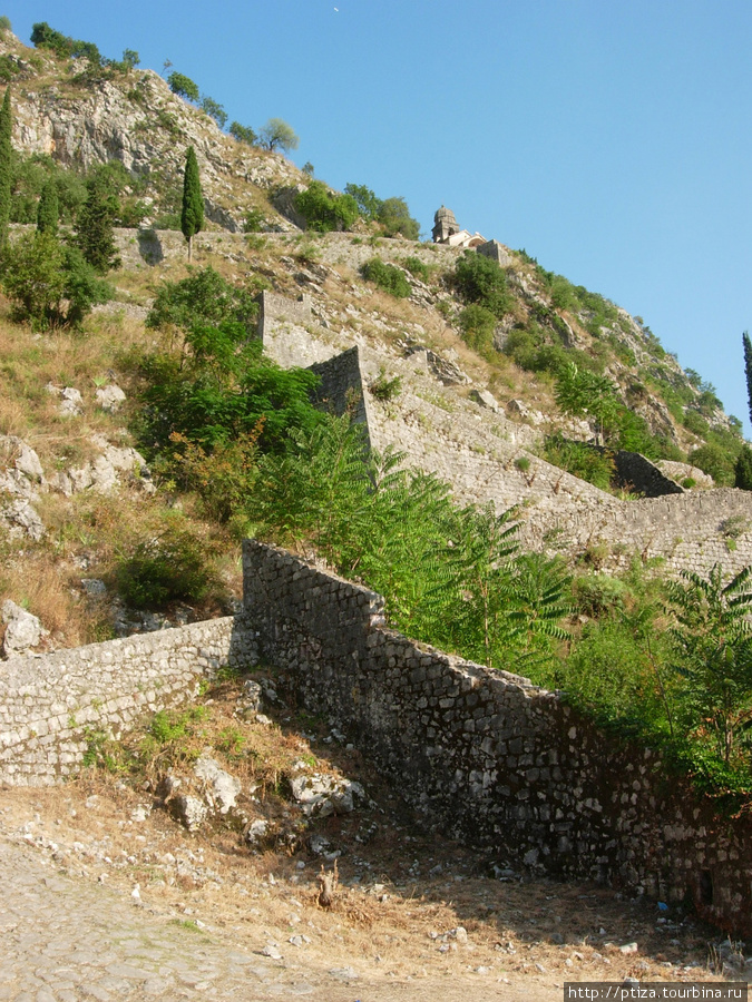 По лестнице Вверх Котор, Черногория