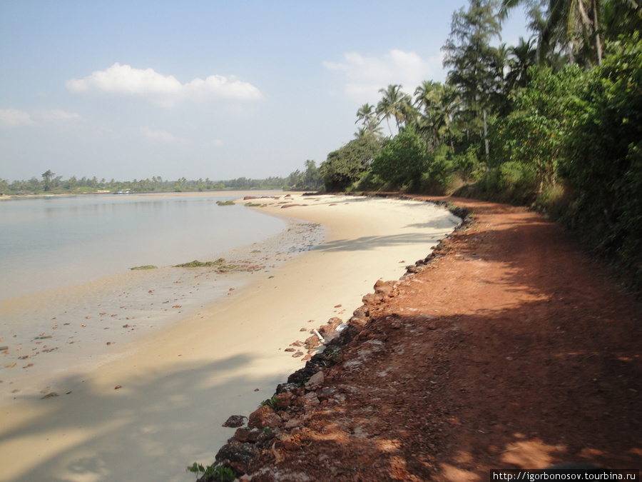 Ехали долго, путаясь и спрашивая дорогу. По джунглям, деревням и вдоль берега. Реди, Индия