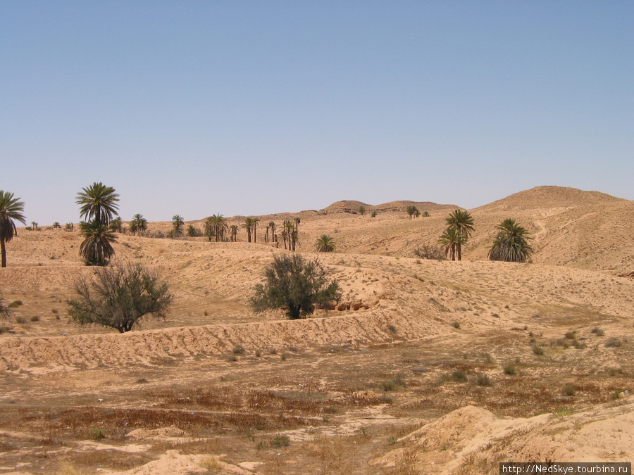 Сахара как она есть Сусс, Тунис