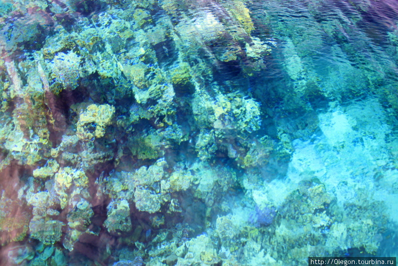 Кораллы, вода очень чистая и прозрачная Шарм-Эль-Шейх, Египет