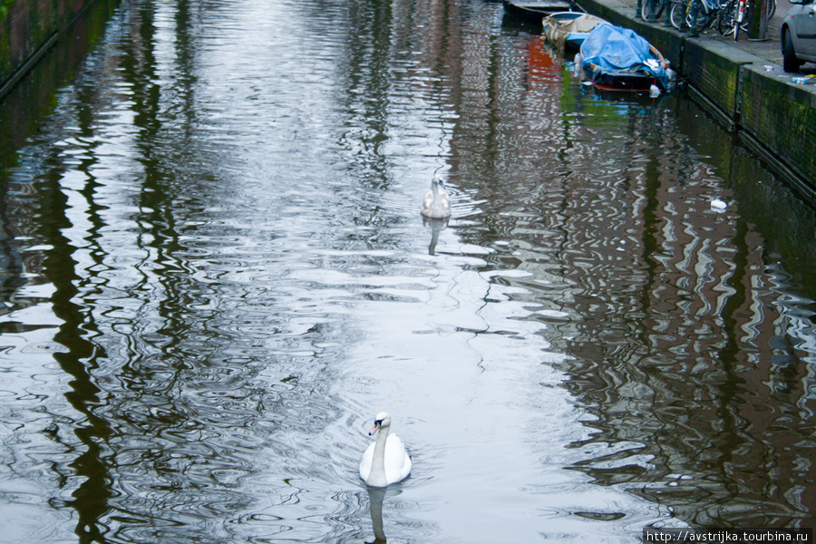 Притягательные амстердамские каналы Амстердам, Нидерланды