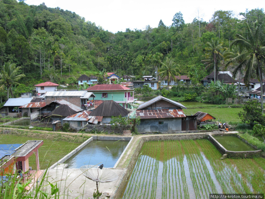 Деревня, от которой идёт тропинка до раффлезий Букиттинги, Индонезия