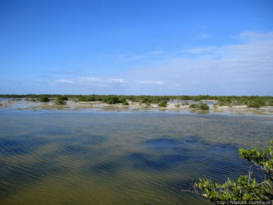 Экскурсия по полуострову Сапата: болота, где живет множество птиц Плайя-Ларго, Куба