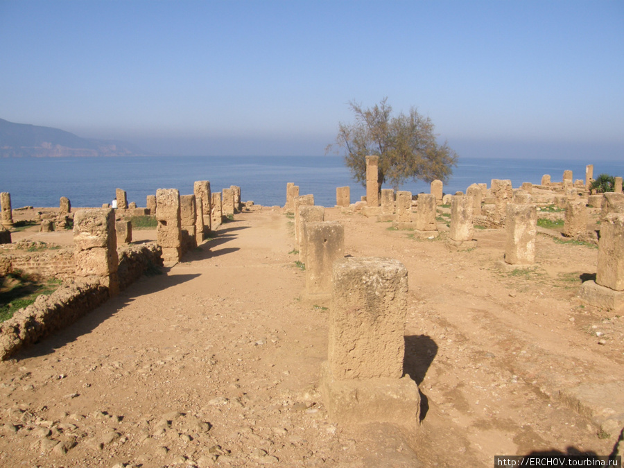 Руины древней Типасы Типаса, Алжир