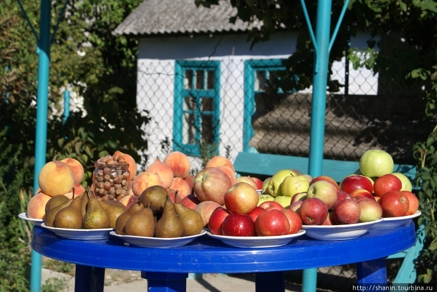 Придорожная торговля фруктами Архипо-Осиповка, Россия