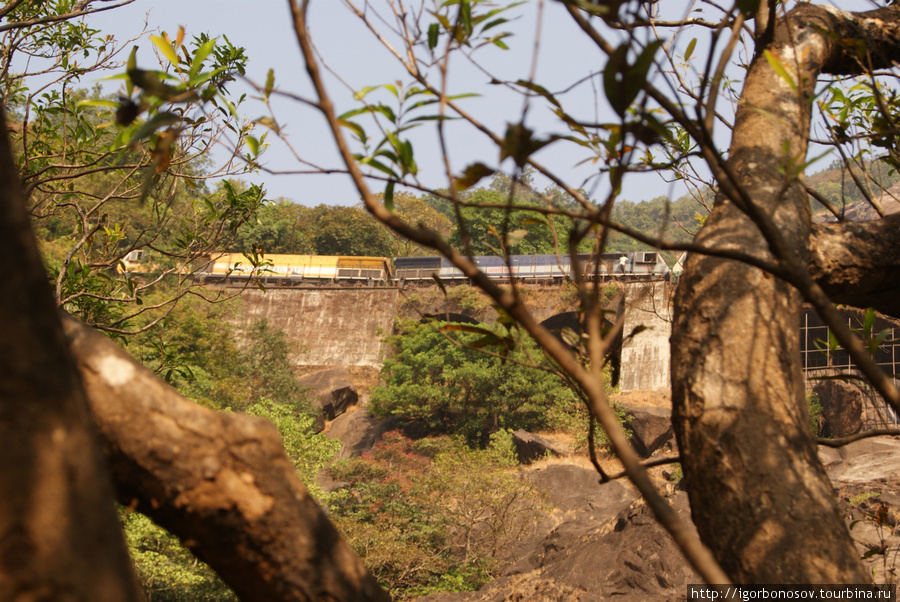 Над водопадом проходит железная дорога и поезда ходят. Проводник ручкой помахал. Штат Гоа, Индия