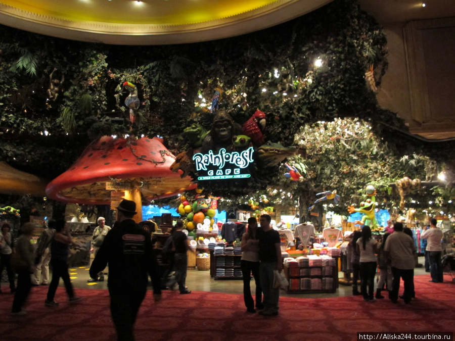 Rainforest Cafe в MGM Grand
а в нем и звери все поют, и гром гремит, и дождь льет как настоящий. Лас-Вегас, CША