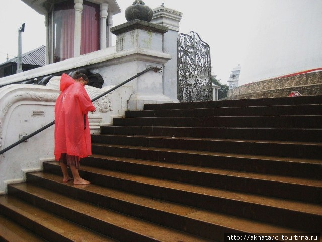 Как мы гуляли по Анурадхапуре Анурадхапура, Шри-Ланка