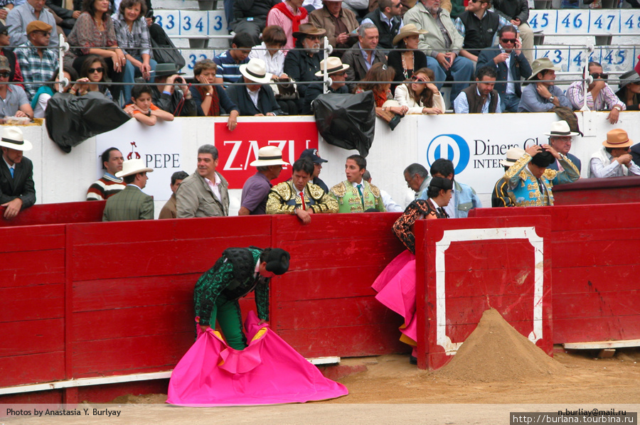 Подготовка ко встречи с быком Кито, Эквадор