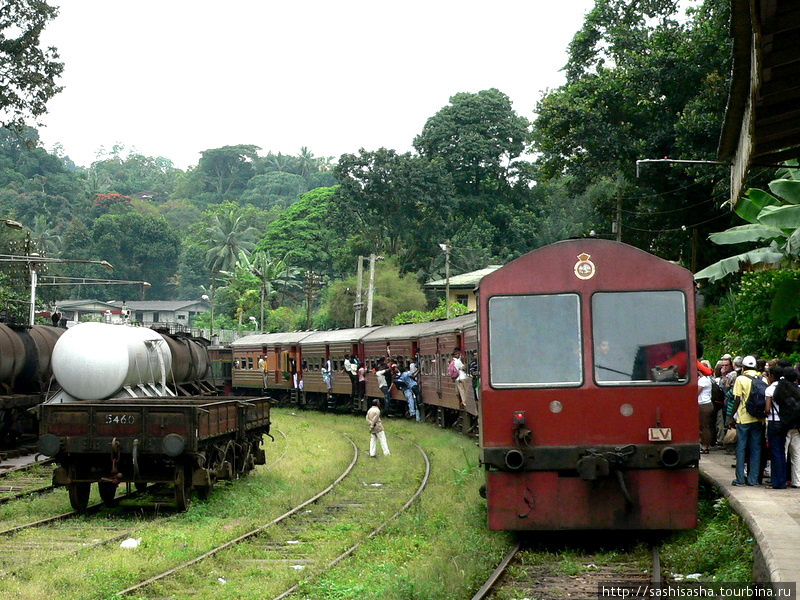 Поезд из Канди в Хаттон Хаттон, Шри-Ланка