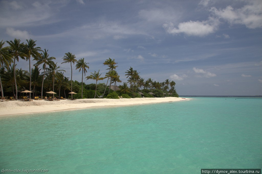 Фото-отчет об отдыхе в ноябре Мальдивские острова