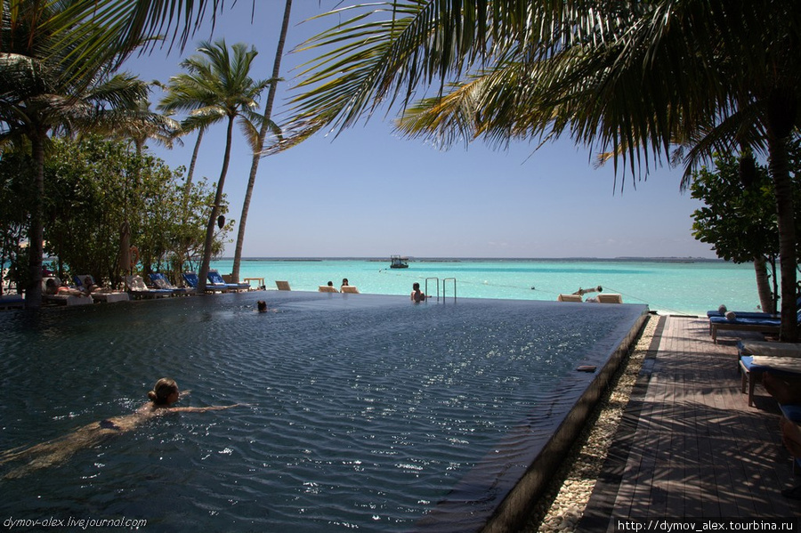 Забавно: бассейн на берегу. Да еще и с морской водой. Однако, спросом пользуется. Мальдивские острова