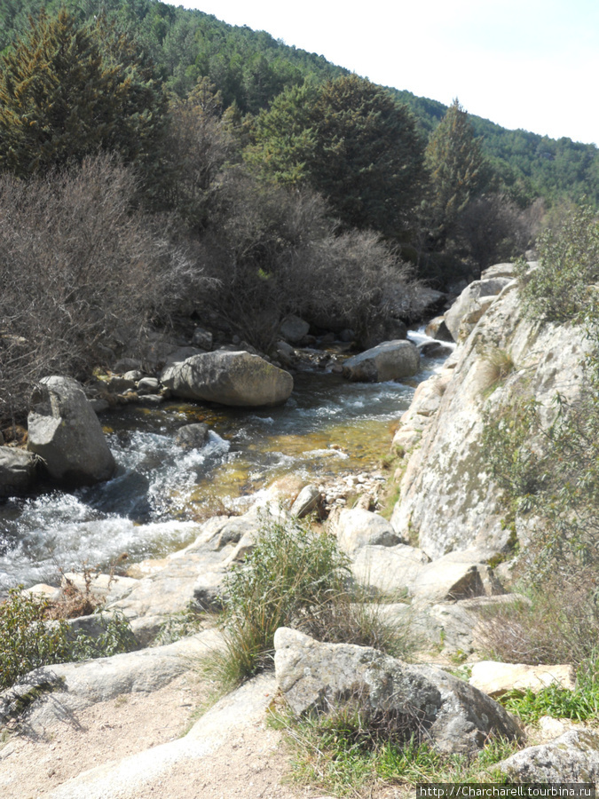 La Pedriza - живая природа в 40 км от Мадрида Автономная область Мадрид, Испания