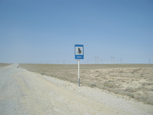 Нелепо в пустыни смотрится знак 