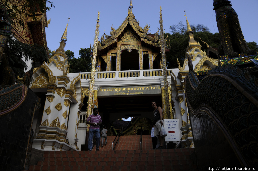 Наконец-то мы у подножия храма Чиангмай, Таиланд