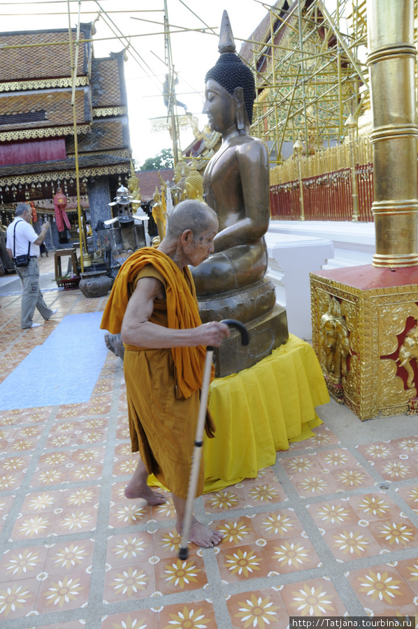 Жизнь храма Чиангмай, Таиланд