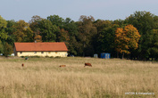 Ферма рядом с парком