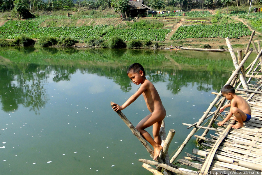 Мальчишки пропадают на речке, где водится всякая живность Провинция Луангпрабанг, Лаос