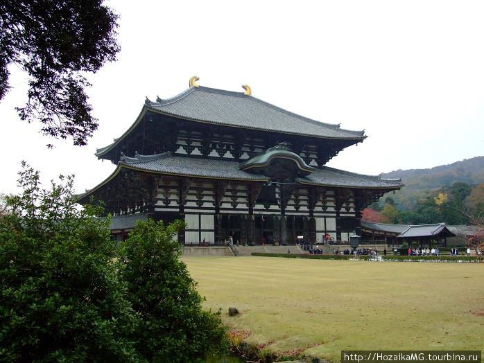 Храм Тодайдзи Хаконэ, Япония