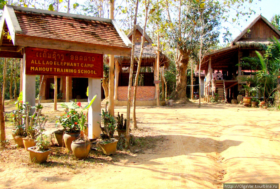 Школа обучения слонов Провинция Луангпрабанг, Лаос
