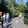 В зоопарке много зелени и там приятно гулять, но ходить много и часто в горку, соответственно и с горки.