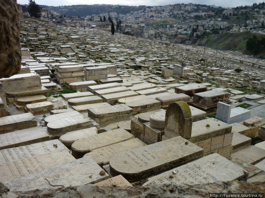 Еврейское кладбище на Масличной горе Иерусалим, Израиль
