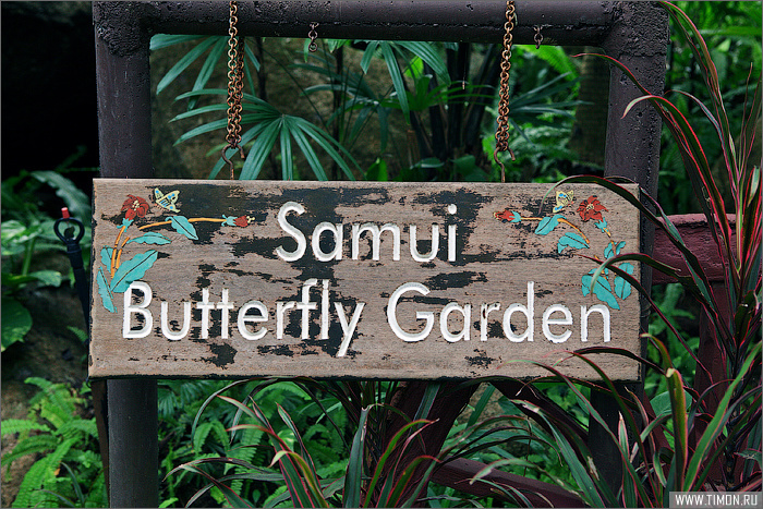 Сад бабочек Остров Самуи, Таиланд