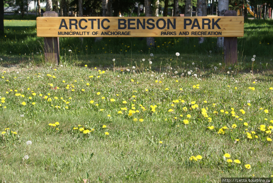 Arctic Benson Park с одуванчиками Анкоридж, CША
