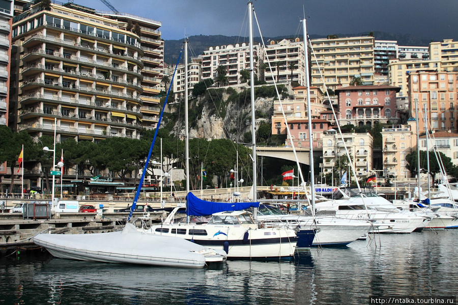 Один день в Монако Монако