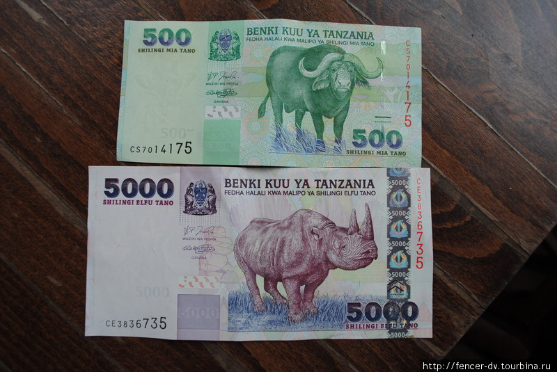 Ну и деньги. Такие, какими и должны быть деньги в Африке: пестрые, с большим количеством нулей и экзотическими животными. Остров Занзибар, Танзания