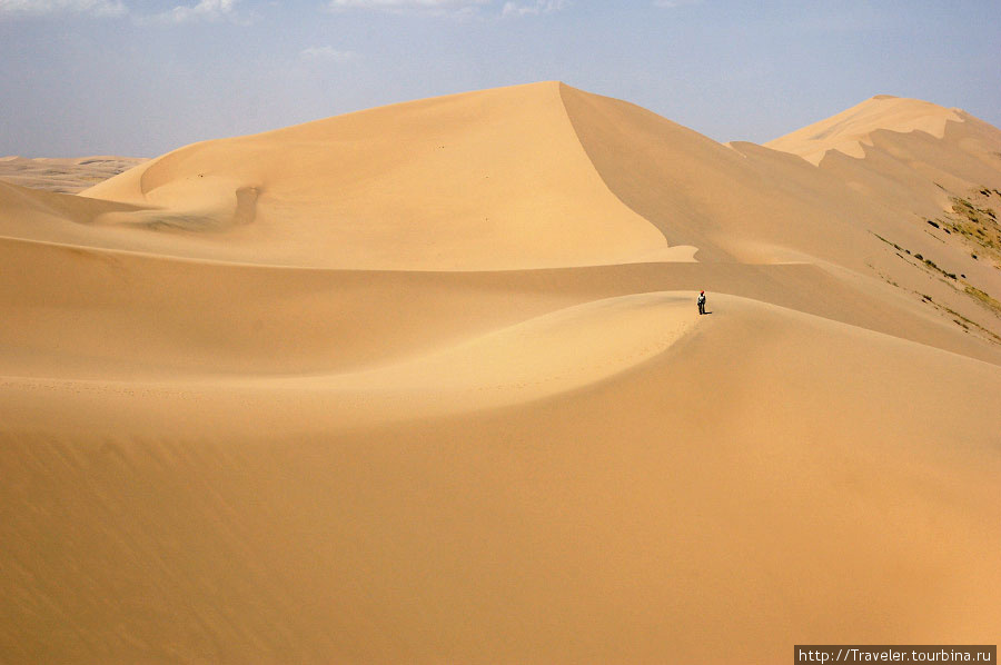 Пустыня Гоби: экспедиция Gobi Adventure