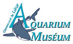 Аквариум-музей Льежа / Aquarium-Muséum de Liège