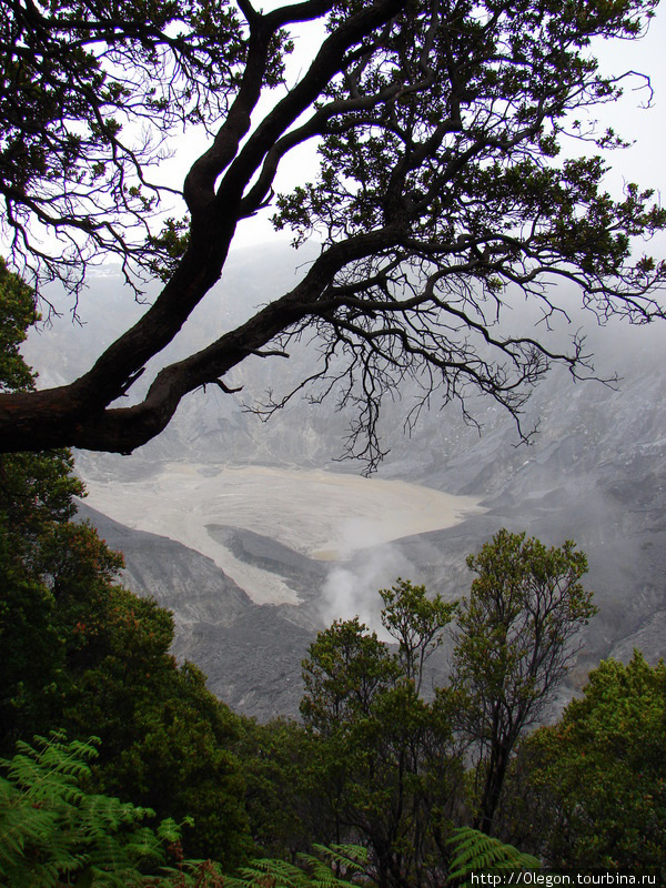 Огромный кратер вулкана Тонгкубан, который обязательно надо обойти вокруг Бандунг, Индонезия