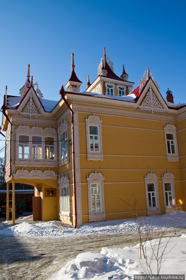 Дом с Жар-птицами, архитектор П.Ф.Федоровский Томск, Россия
